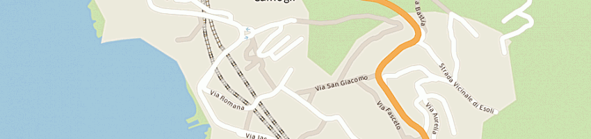 Mappa della impresa levera e norza snc di f levera e p norza a CAMOGLI