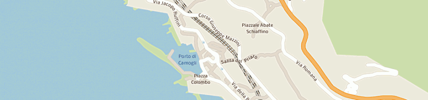 Mappa della impresa revello luigi a CAMOGLI