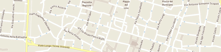 Mappa della impresa riccardi di riccardi e c sas a PAVIA