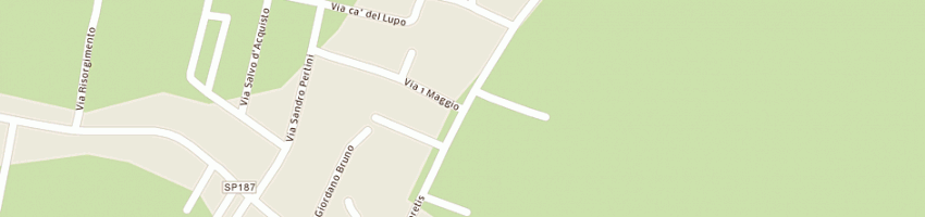 Mappa della impresa lpi di pirovano egidio e c snc a PINAROLO PO