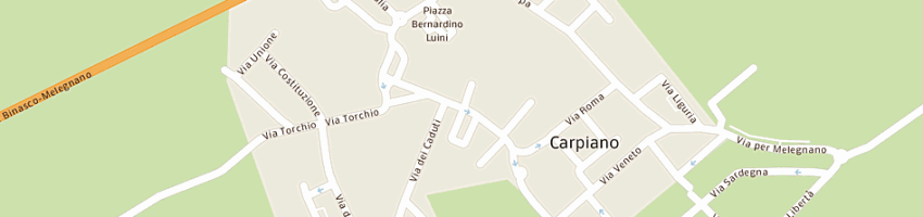 Mappa della impresa pizzasegola domenico a CARPIANO