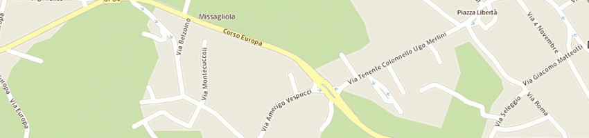 Mappa della impresa sicurgas snc di figini e azzoni a MISSAGLIA