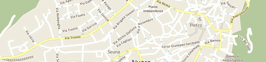 Mappa della impresa angioi francesca a NUORO