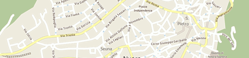 Mappa della impresa citicorp finanziaria spa citifin a NUORO