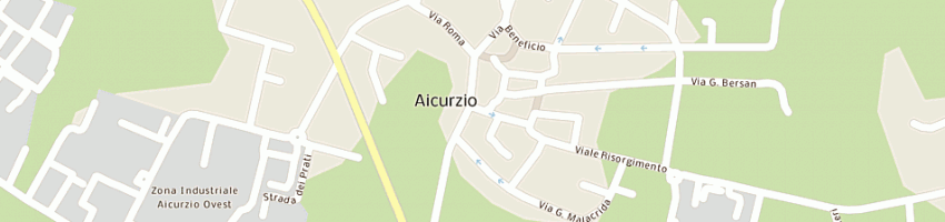 Mappa della impresa farmacia campagner dssa campagner patrizia a AICURZIO