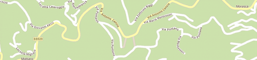 Mappa della impresa musso massimo a CASTIGLIONE CHIAVARESE