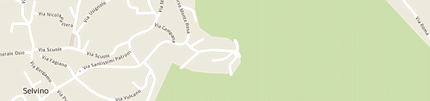 Mappa della impresa camozzi massimo a SELVINO