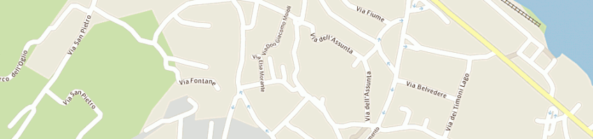 Mappa della impresa cittadini dino a PARATICO