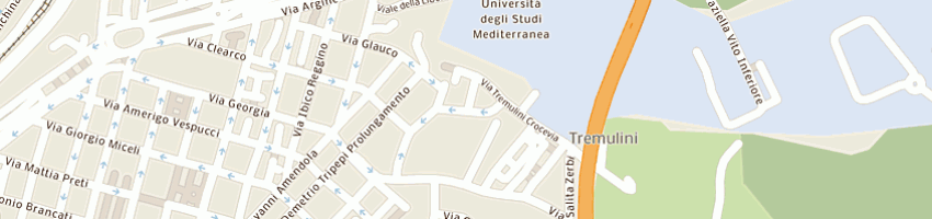 Mappa della impresa universita' degli studi mediterranea a REGGIO CALABRIA