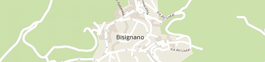 Mappa della impresa municipio  a BISIGNANO