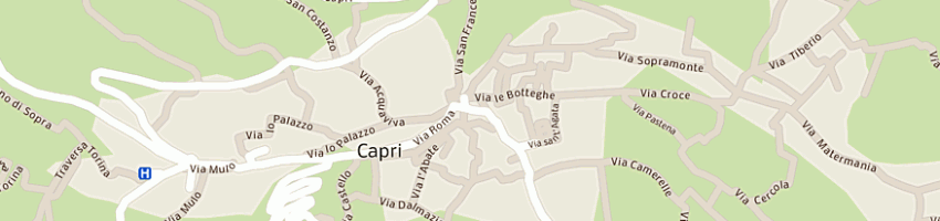 Mappa della impresa la parisienne di fiore a CAPRI