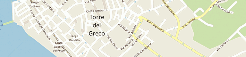 Mappa della impresa centro polidiagnostico ascione e panella srl a TORRE DEL GRECO