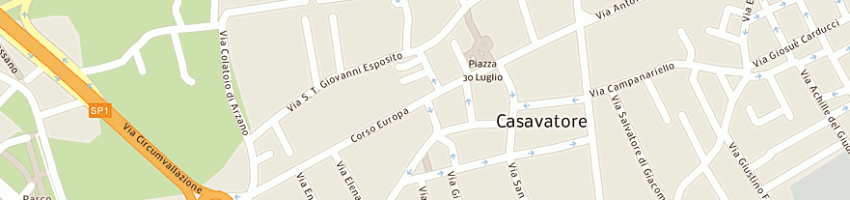 Mappa della impresa macelleria nicolella a CASAVATORE