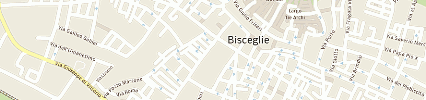 Mappa della impresa netcom sas di amorese sabino e c a BISCEGLIE