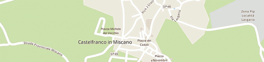 Mappa della impresa filippo sanseverino srl a CASTELFRANCO IN MISCANO
