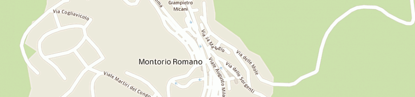 Mappa della impresa consulweb sas di cherney tetyana e c a MONTORIO ROMANO