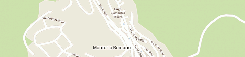 Mappa della impresa agrimontorio di ponzani g e porsi b a MONTORIO ROMANO