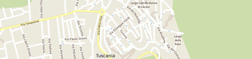 Mappa della impresa thomas snc di saulino emanuela e annalisa a TUSCANIA