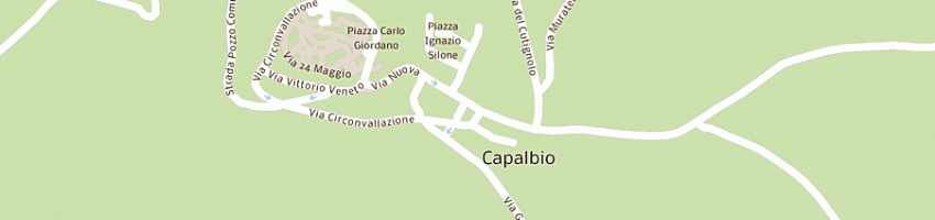Mappa della impresa scacciapensieri snc di orazi gianvittorio e chelli letizia a CAPALBIO