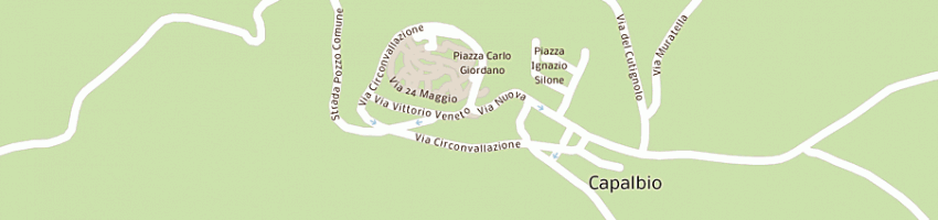 Mappa della impresa piccolotti luigi a CAPALBIO