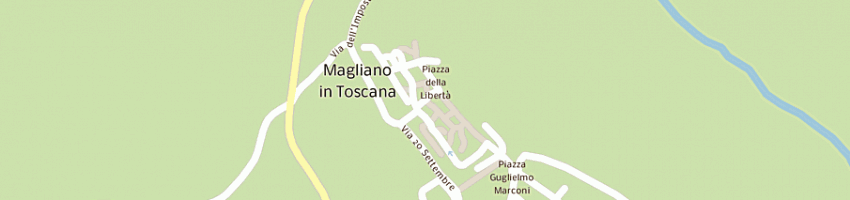 Mappa della impresa ifs italia srl a MAGLIANO IN TOSCANA