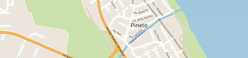 Mappa della impresa ioppi emma a PINETO