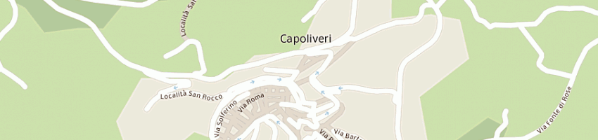 Mappa della impresa baldetti baldo a CAPOLIVERI