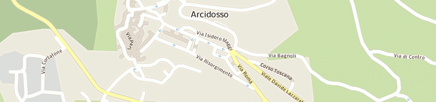 Mappa della impresa poste italiane spa a ARCIDOSSO