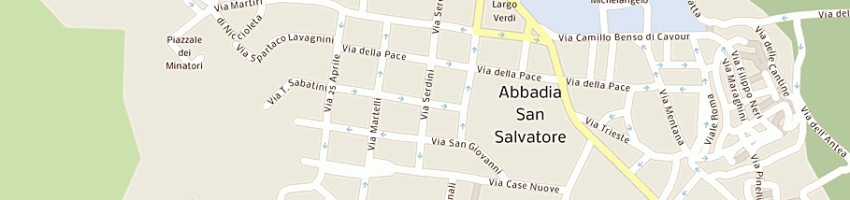 Mappa della impresa pizzetti di pizzetti francesco a ABBADIA SAN SALVATORE