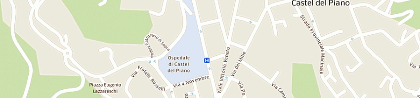Mappa della impresa albergo amiata a CASTEL DEL PIANO