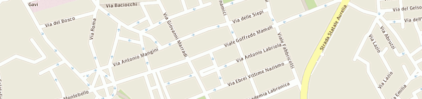 Mappa della impresa john crane italia spa a LIVORNO
