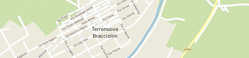 Mappa della impresa narcisi silvano a TERRANUOVA BRACCIOLINI