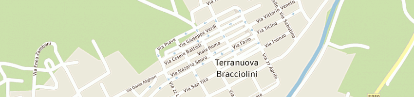Mappa della impresa farmacia burchini alessandro a TERRANUOVA BRACCIOLINI