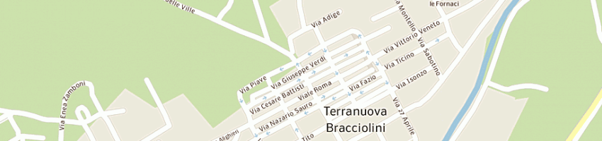 Mappa della impresa trading estate service srl a TERRANUOVA BRACCIOLINI