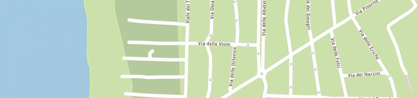 Mappa della impresa city surf tirrenia di salvini nico a PISA