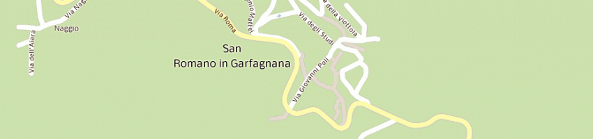Mappa della impresa centro ingrosso professional snc a SAN ROMANO IN GARFAGNANA