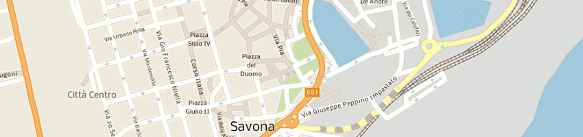 Mappa della impresa viani a SAVONA