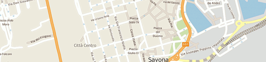 Mappa della impresa comune di savona a SAVONA