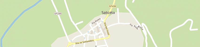 Mappa della impresa montini piero a SALICETO