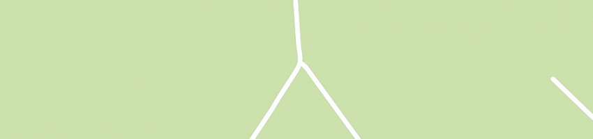 Mappa della impresa laghetto triangolo di radiosi floriano e c snc a FINALE EMILIA