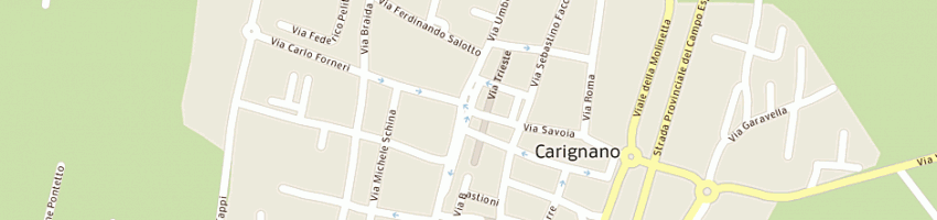 Mappa della impresa savoia 11 a CARIGNANO