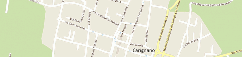 Mappa della impresa bar della piazzetta (snc) a CARIGNANO