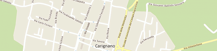 Mappa della impresa municipio a CARIGNANO