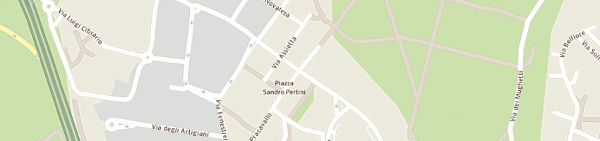 Mappa della impresa papasso saverio francesco a NICHELINO