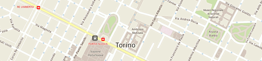 Mappa della impresa seat srl a TORINO