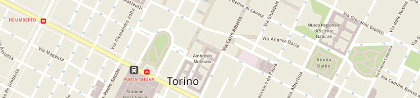 Mappa della impresa carella giuseppina a TORINO