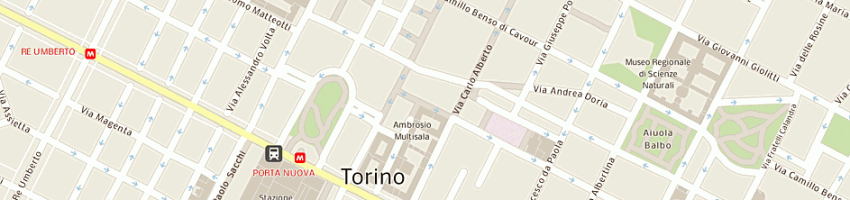 Mappa della impresa cedro - morando snc di cedro s e c a TORINO