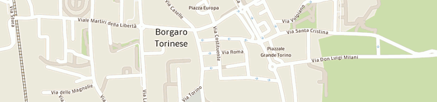 Mappa della impresa tecnocael service spa a BORGARO TORINESE