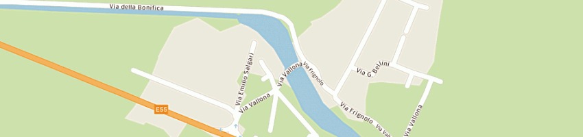 Mappa della impresa borsani virginia a CODEVIGO