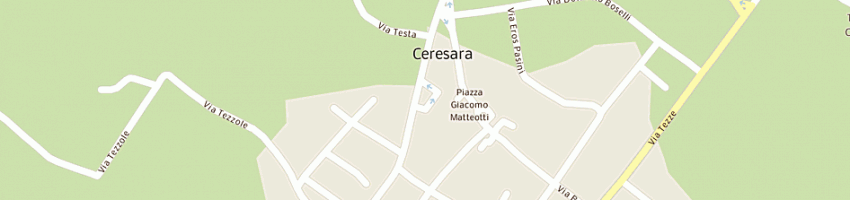 Mappa della impresa negrisoli giovanni a CERESARA